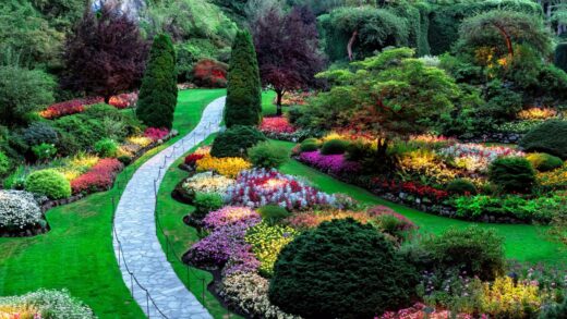 piękny ogród bez podlewania